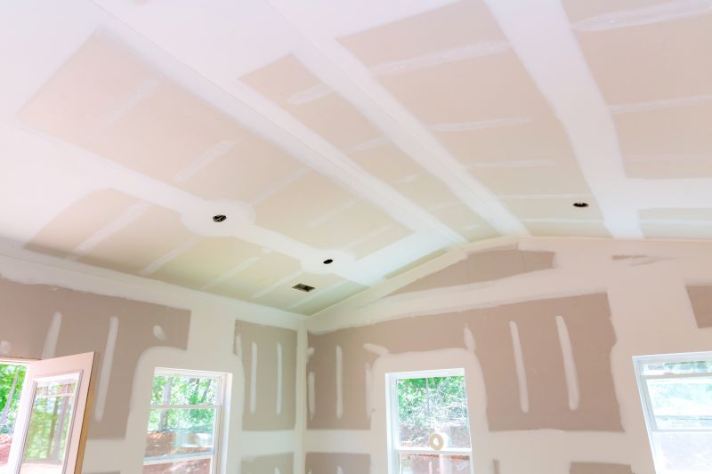Ceiling Drywall Installation